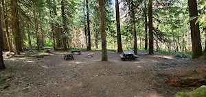 Red Diamond Campground campsite photo 3 - Willamette National Forest, Oregon