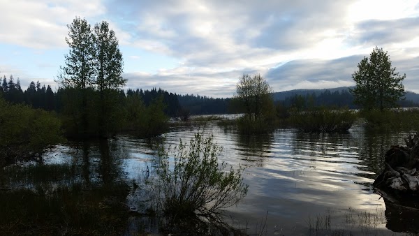 Red Feather California campsite photo 5 - Plumas National Forest, California