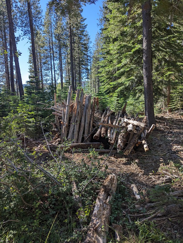 Red Feather California campsite photo 6 - Plumas National Forest, California
