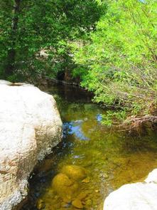 REYNOLDS CREEK GROUP CAMPGROUND2