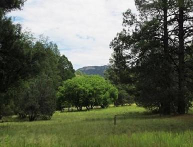 REYNOLDS CREEK GROUP CAMPGROUND