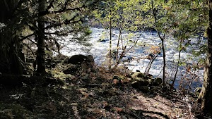 Ripplebrook campsite photo 3 - Mt. Hood National Forest, Oregon