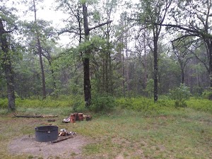 Rollways Campground campsite photo 3 - Huron-Manistee National Forests, Michigan