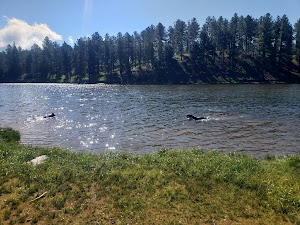 Roubaix Lake campsite photo 2 - Black Hills National Forest, South Dakota