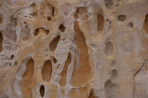 Rabbit Valley campsite photo 4 - McInnis Canyons National Conservation Area, Colorado