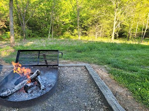 Ray Behrens campsite photo 4 - Mark Twain Lake, Missouri