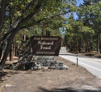 Road leading to the San Gorgonio Campground Sign