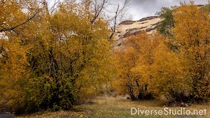 Schipper Campground campsite photo 2 - Sawtooth National Forest, Idaho