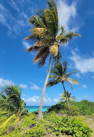 Shoal Bay campsite photo 2 - Dardanelle Lake, Arkansas