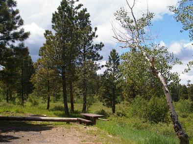 Skull Creek campground at Ashley National Forest, Utah