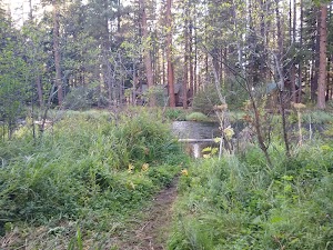 Smiling River Campground campsite photo 4 - Deschutes National Forest, Oregon