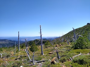 Snow Camp Lookout campsite photo 5 - Rogue River-Siskiyou National Forest, Oregon