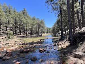 Spillway Campground campsite photo 4 - Psicc, Colorado