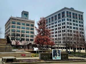 Springfield campsite photo 3 - Hartwell Lake, Georgia