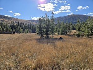 Star Meadows Guard Station campsite photo 4 - Flathead National Forest, Montana