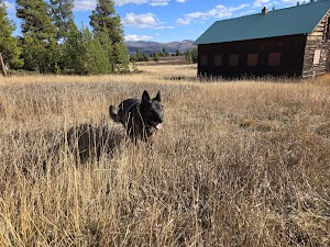 Star Meadows Guard Station campsite photo 5 - Flathead National Forest, Montana