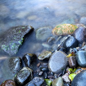 Steamboat Ball Field Group Site campsite photo 4 - Umpqua National Forest, Oregon
