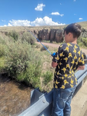 Stone Cellar Guard Station campsite photo 5 - Rio Grande National Forest, Colorado