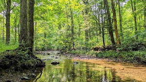 Stony Fork Cabin campsite photo 4 - George Washington & Jefferson National Forest, Virginia