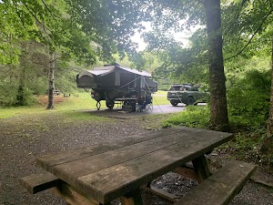Stony Fork Cabin campsite photo 6 - George Washington & Jefferson National Forest, Virginia