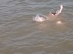 Scott Lake campsite photo 3 - Willamette National Forest, Oregon