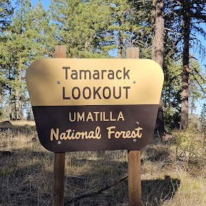Tamarack Cabin campsite photo 5 - Umatilla National Forest, Oregon