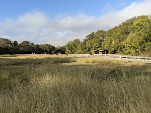 Tejas Park campsite photo 5 - Georgetown Lake, Texas