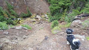 Tilly Jane Guard Station campsite photo 6 - Mt. Hood National Forest, Oregon