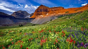 Timpanogas campsite photo 3 - Willamette National Forest, Oregon