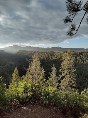 Transfer Campground campsite photo 3 - San Juan National Forest, Colorado