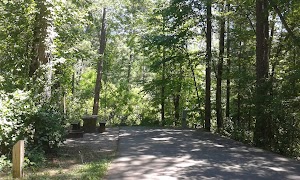 Van Hook Glade campsite photo 2 - National Forests in North Carolina, North Carolina