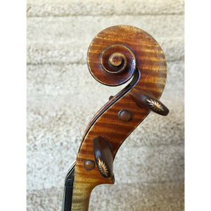 Viola campsite photo 5 - Table Rock Lake, Missouri