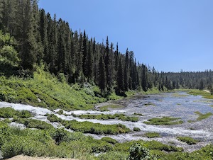 Warm River campsite photo 3 - Caribou-Targhee National Forest, Idaho