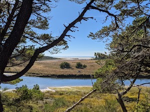 Waxmyrtle Campground campsite photo 2 - Siuslaw National Forest, Oregon