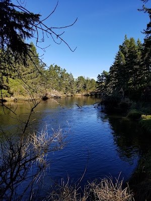 Waxmyrtle Campground campsite photo 3 - Siuslaw National Forest, Oregon