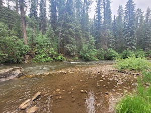 West Dolores Campground campsite photo 2 - San Juan National Forest, Colorado