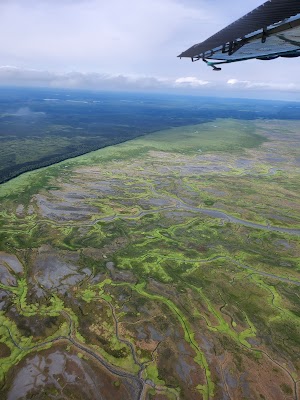 West Swan Lake Cabin campsite photo 4 - Chugach National Forest, Alaska