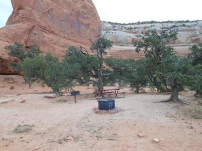 Windwhistle Group Site (4)