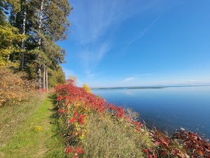 Winnie Campground - USFS campsite photo 2 - Chippewa National Forest, Minnesota