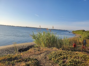 Sandy Beach Park campsite photo 2 - Solano County, California
