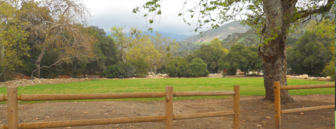 Steckel Park campground at Ventura County, California