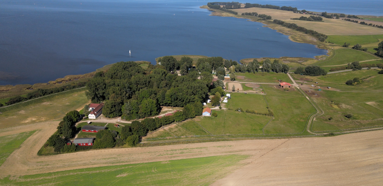 Rasen-Terrassenstellplätze XXL (120-160m²)