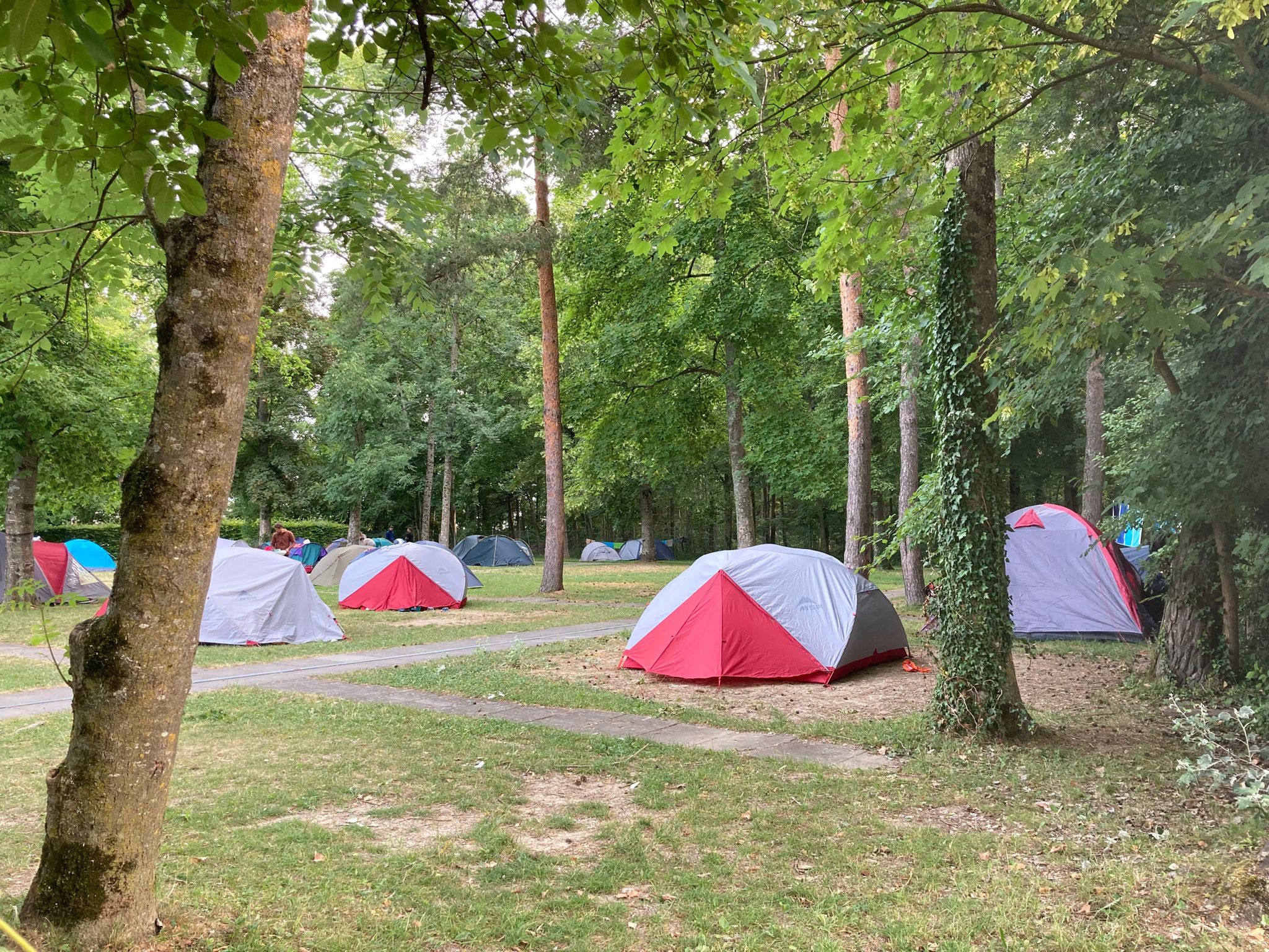 Small tent pitch