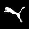 PUMA Group logo