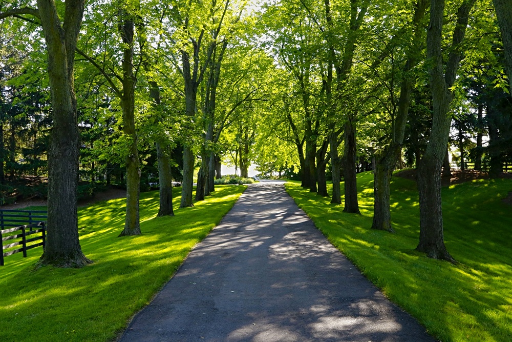 Highway 27 King Ontario Canada Sale residential   The Irene Settino Team 