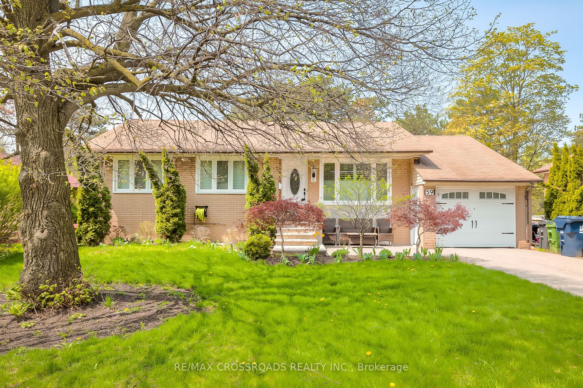 59 Ternhill Cres Toronto Ontario  Sold residential Moses Lu RE/MAX CROSSROADS REALTY INC. Brokerage*