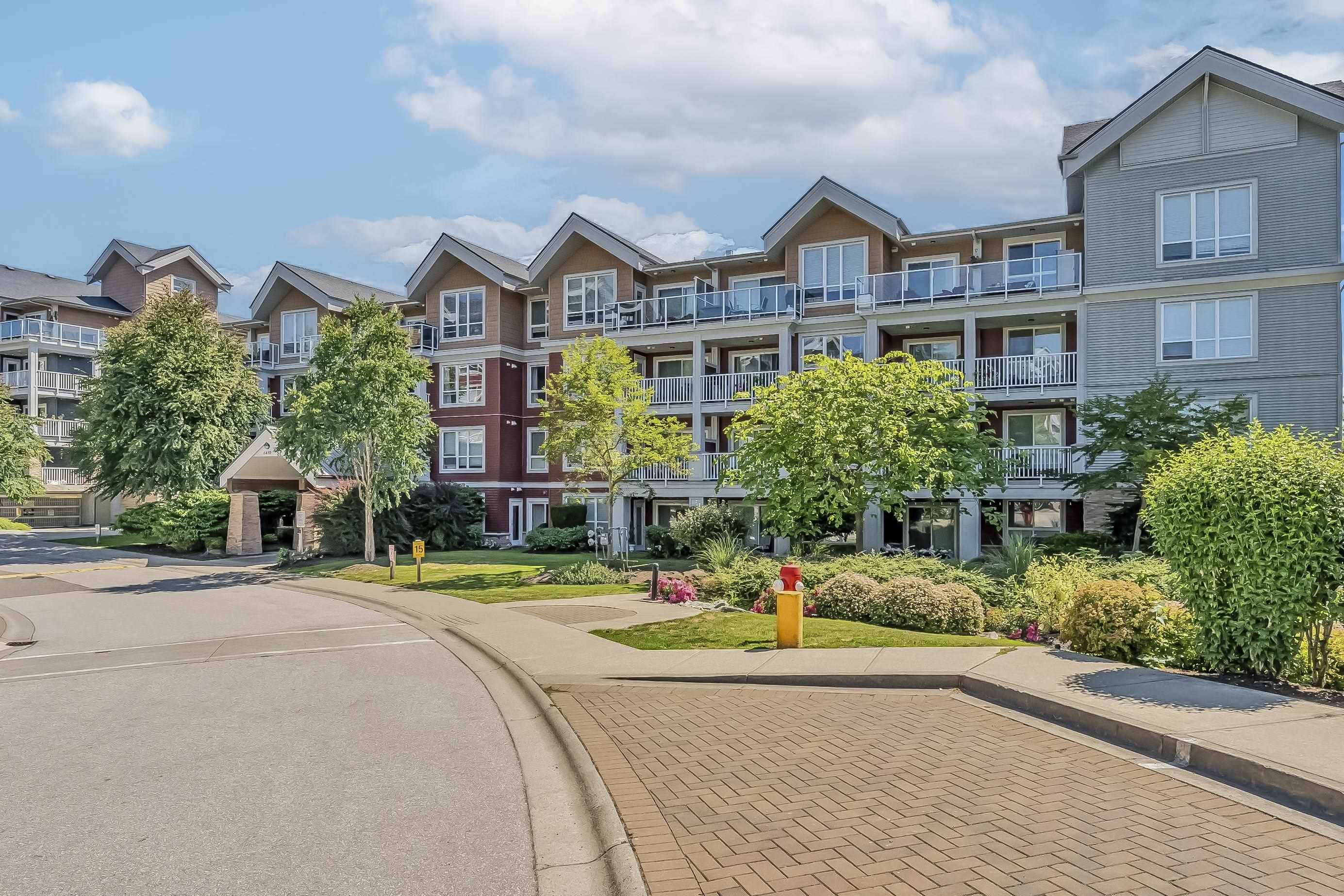 207 - 6450 194 STREET Surrey British Columbia Canada Sold residential Renée Kehayas Initia Real Estate