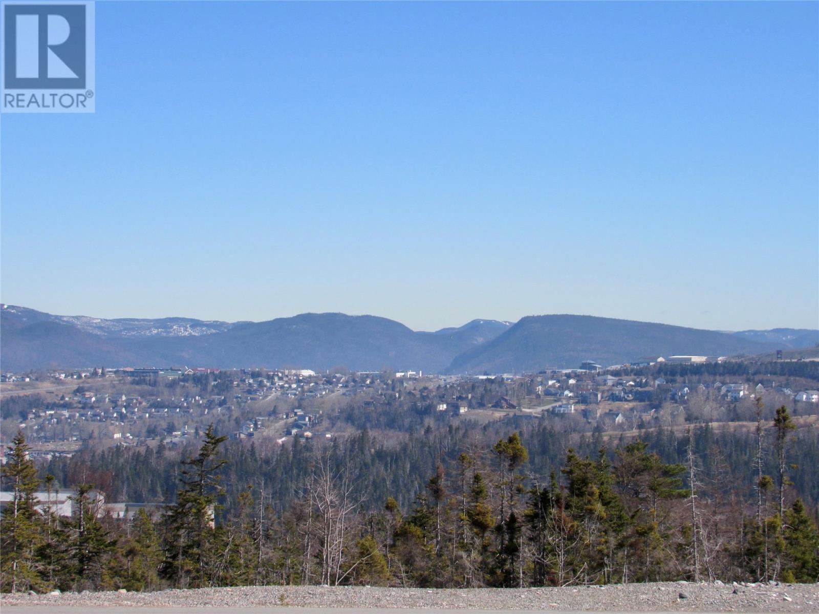59 Mattie Mitchell Avenue Corner Brook Newfoundland And Labrador Canada Sale residential   InCom Demo Demo Office