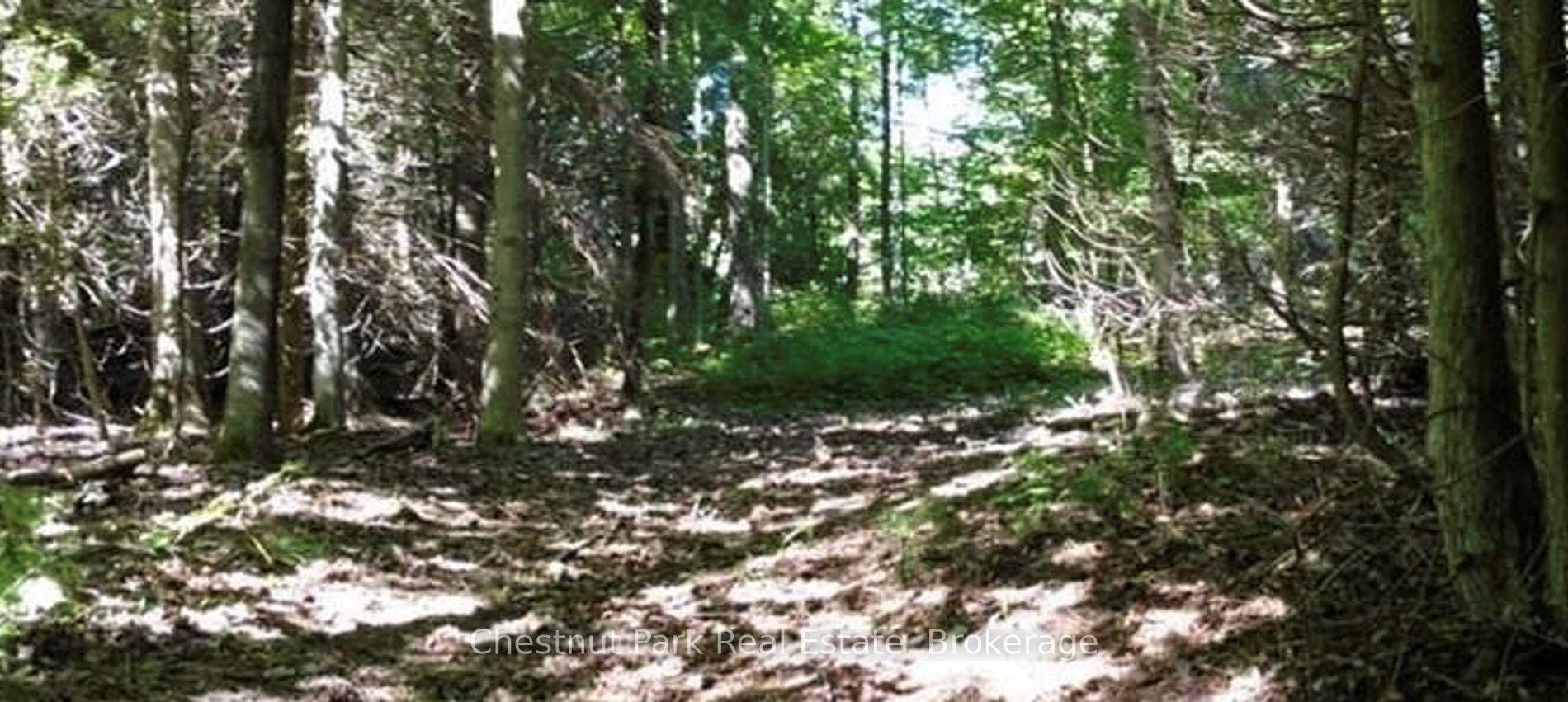 LT 11 CONCESSION 4 EBR Northern Bruce Peninsula Ontario Canada Sale residential   Taylor & Co. Real Estate Professionals