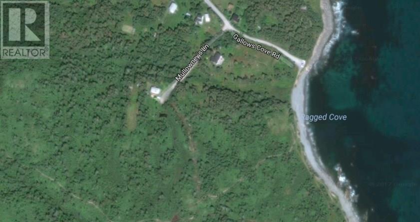 25-37 Mullowney's , Gallows cove Witless Bay Newfoundland And Labrador Canada Sale residential Michelle Mitchum HomeLife Experts Realty Inc. *